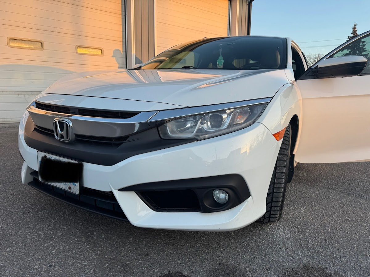 Engine Bay Detailing — clean vehicle front end